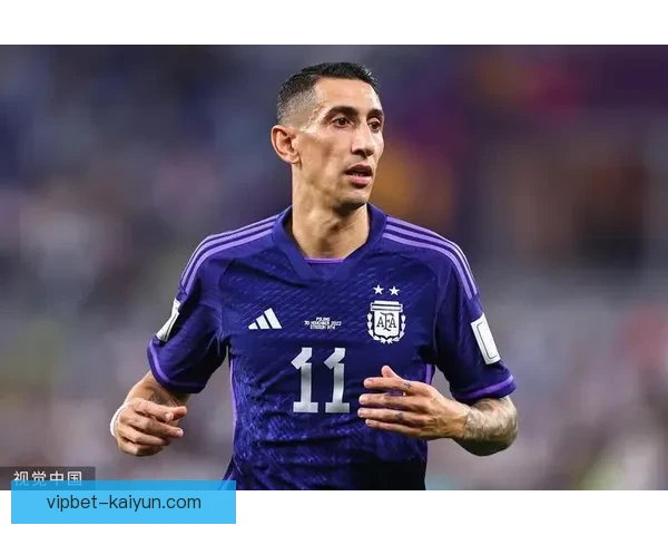 迪马利亚世界杯表现持续提升，展现出良好状态引人关注